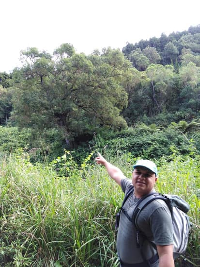 Dans la forêt du Tévelave avec Ti' Tang